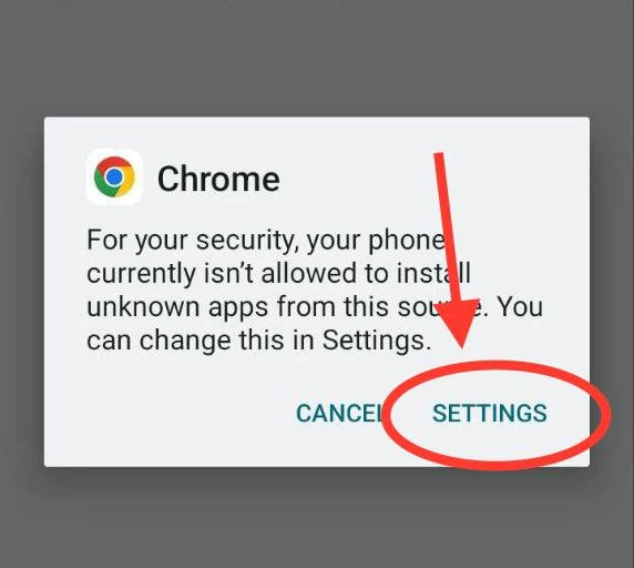6656-photo2023-09-1609-58-06-16948512817401.jpg