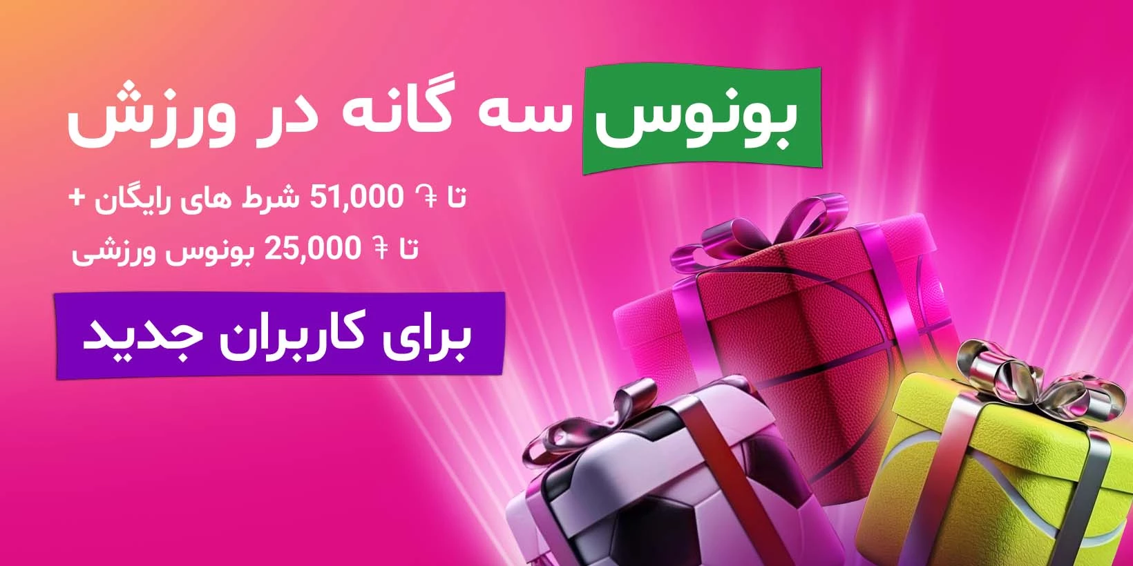 12939-mobile-1-17525781878963.jpg