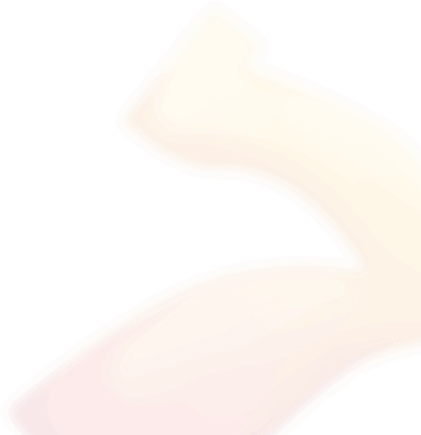 3503-18381-vector-smart-object-copy-3-7-16365417492095.png