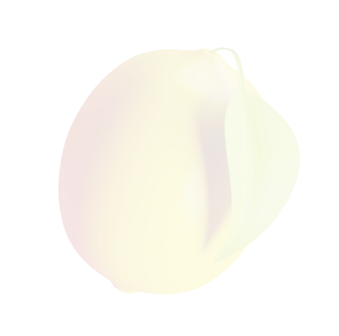4959-lemon-1-17337474761459.png