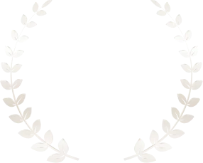 6241-one-17349469119779.png