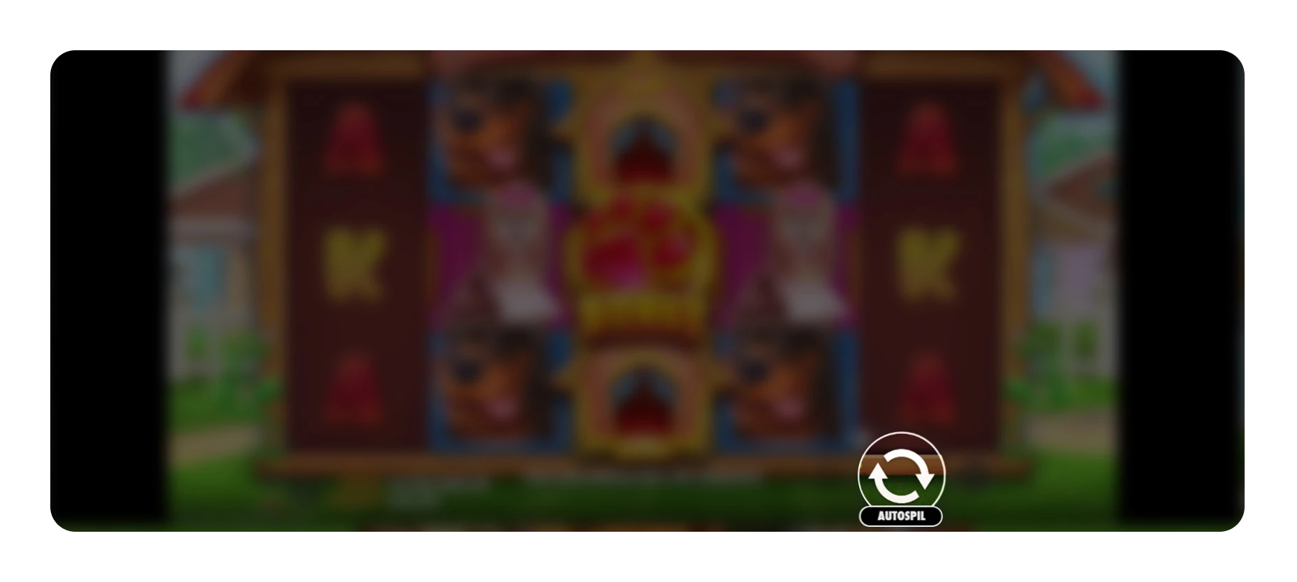 1144-frame-2147223864-1-17612959565053.png