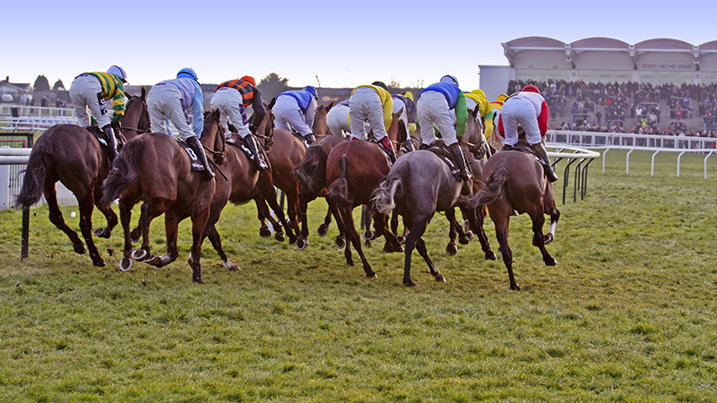 128-800x45043663033.jpg