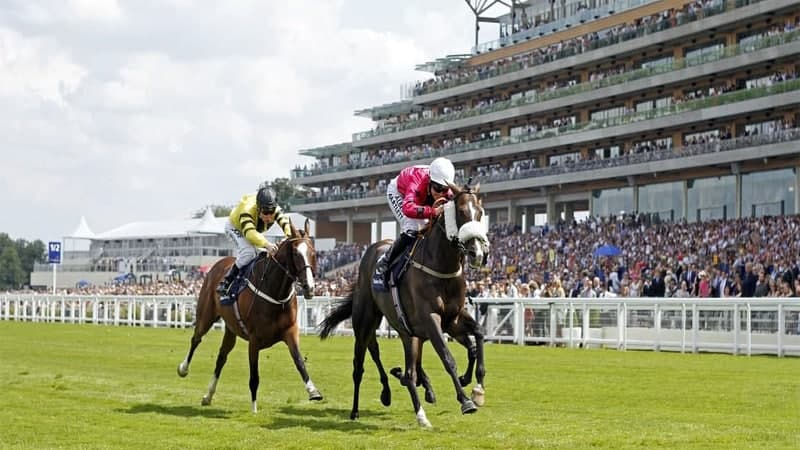 128-horse-racing-1.jpg