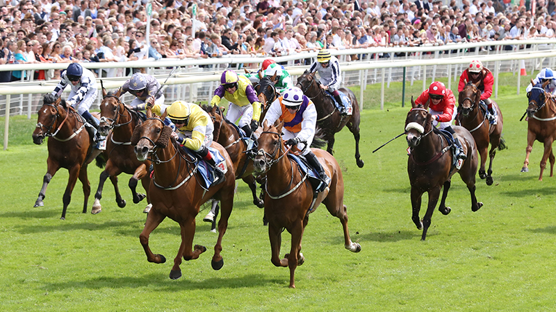 128-horse-racing-1633702739882.jpg