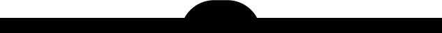 411-newest-asset.png