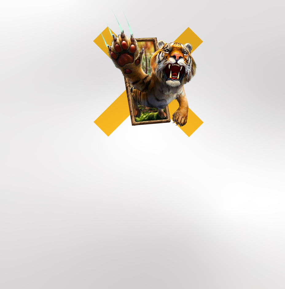 389-second.jpg