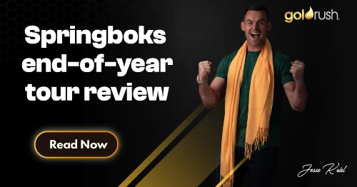 Springboks 2024 end-of year-Tour Review