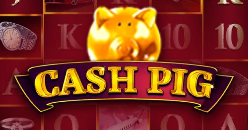 Cash Pig