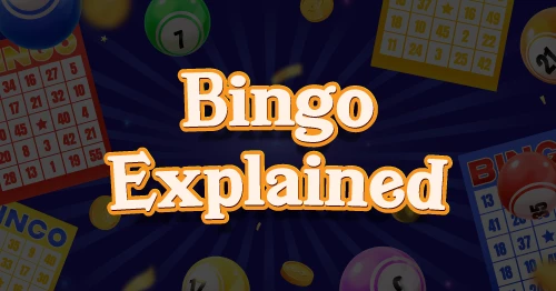  Bingo Explained