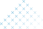 2019-vector-17307971446758.png