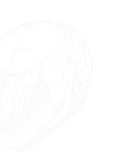 3777-939893834863-4-17416996596736.png