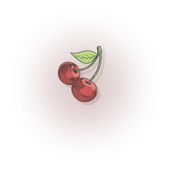 8932-group-1171275016-1-17806527780239.png
