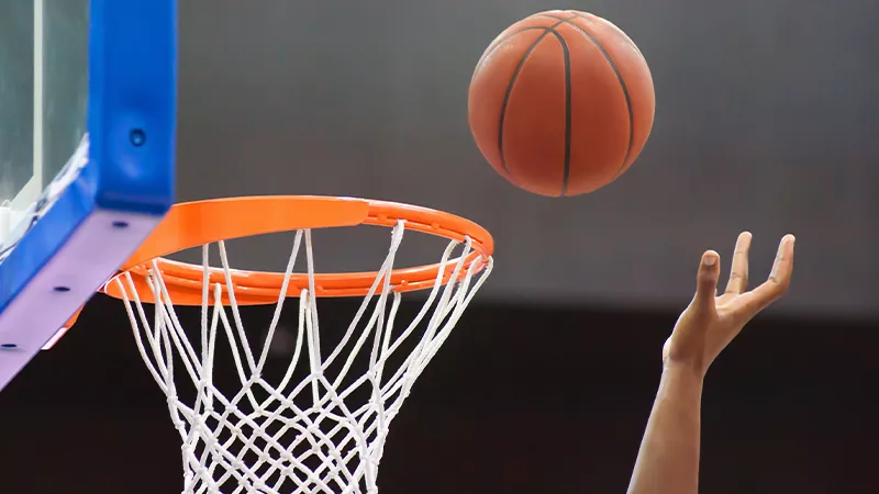 2422-2735-basket2-16830170207969.png