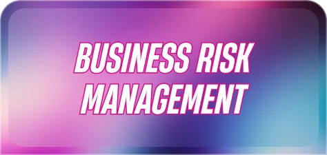 3895-business-risk-management-17708915101572.png