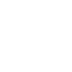 1082-18747-group-31.png