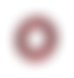 11269-layer-26-17026207610799.png