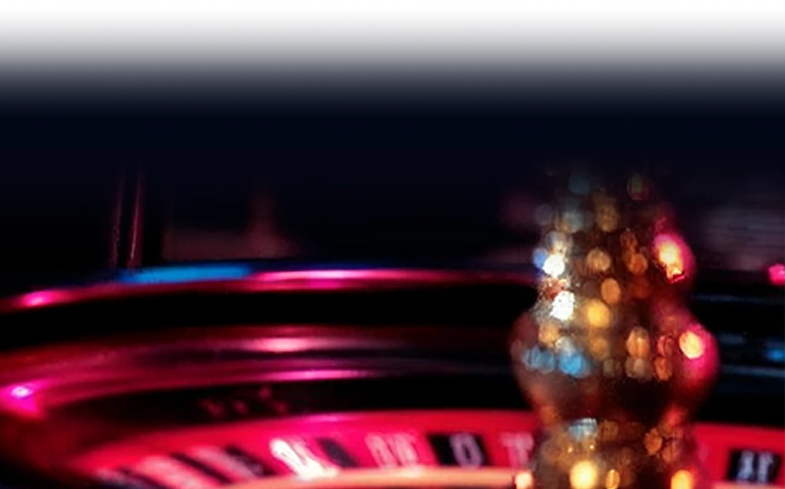 13390-frame-2147223634-17448876061948.png