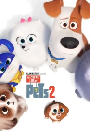 1608-rating-img10-16998785869752.png
