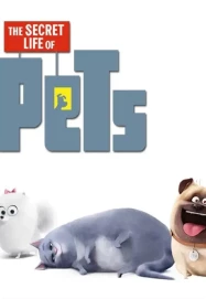 1611-rating-img11-16998786122074.png