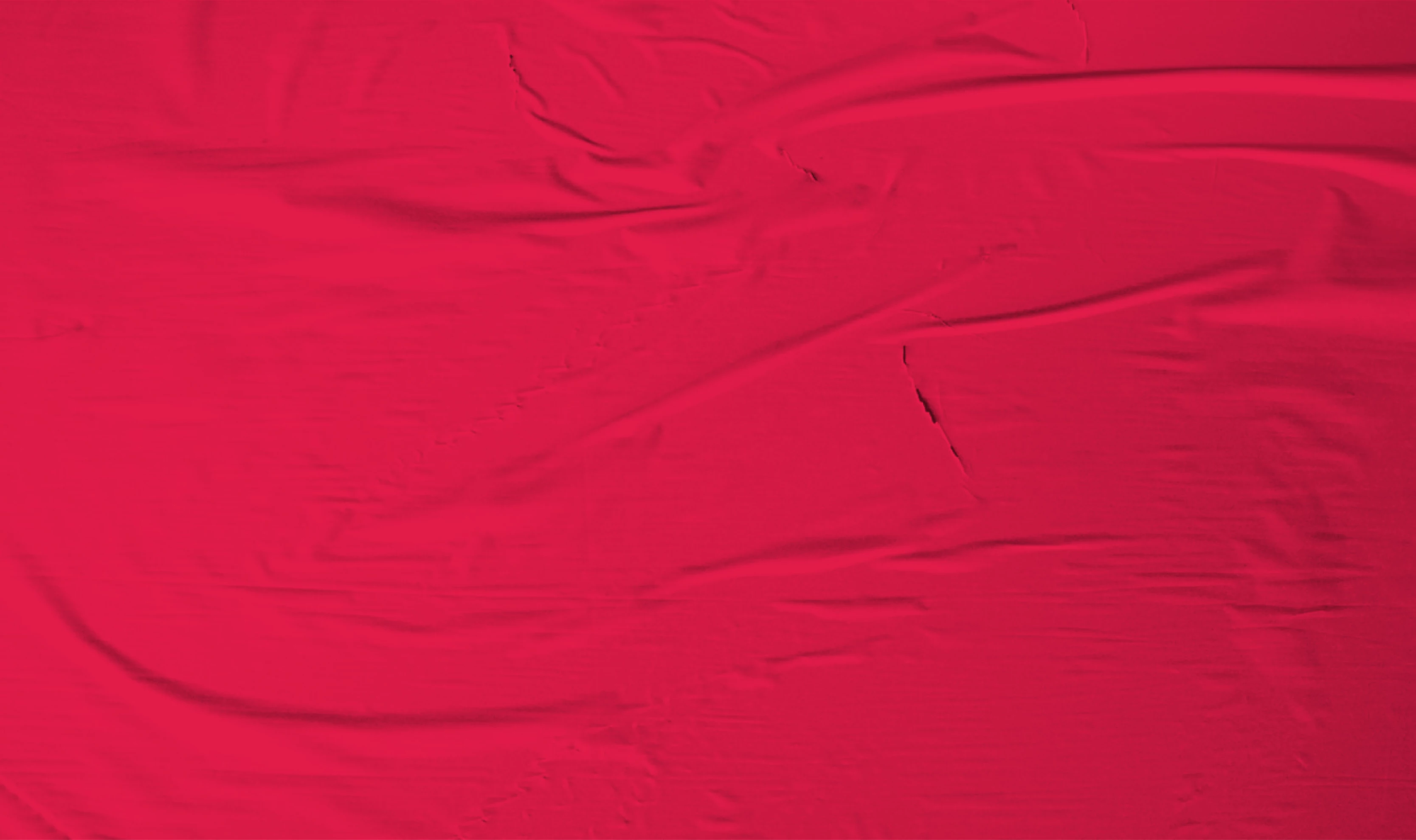 r208-group1-16917514905546.png